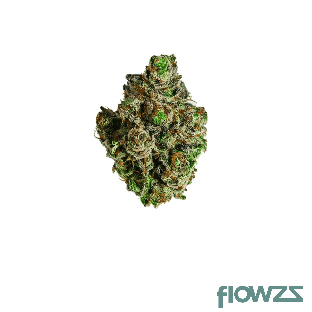 Cannamedical Sativa classic Crescendo Cookies Produktfoto