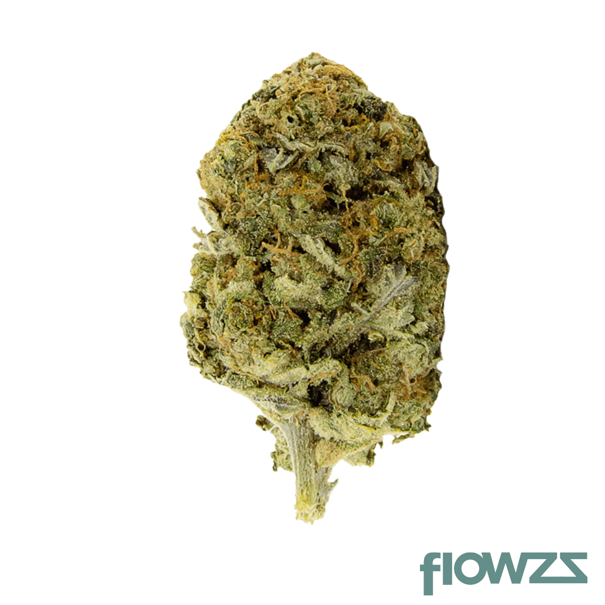 aleph amber 20/1 Mango Kush Produktfoto