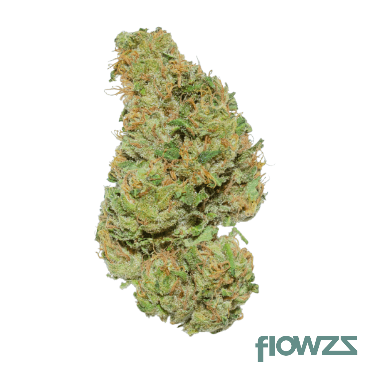 Weeco HK 20/1 Hindu Kush Produktfoto