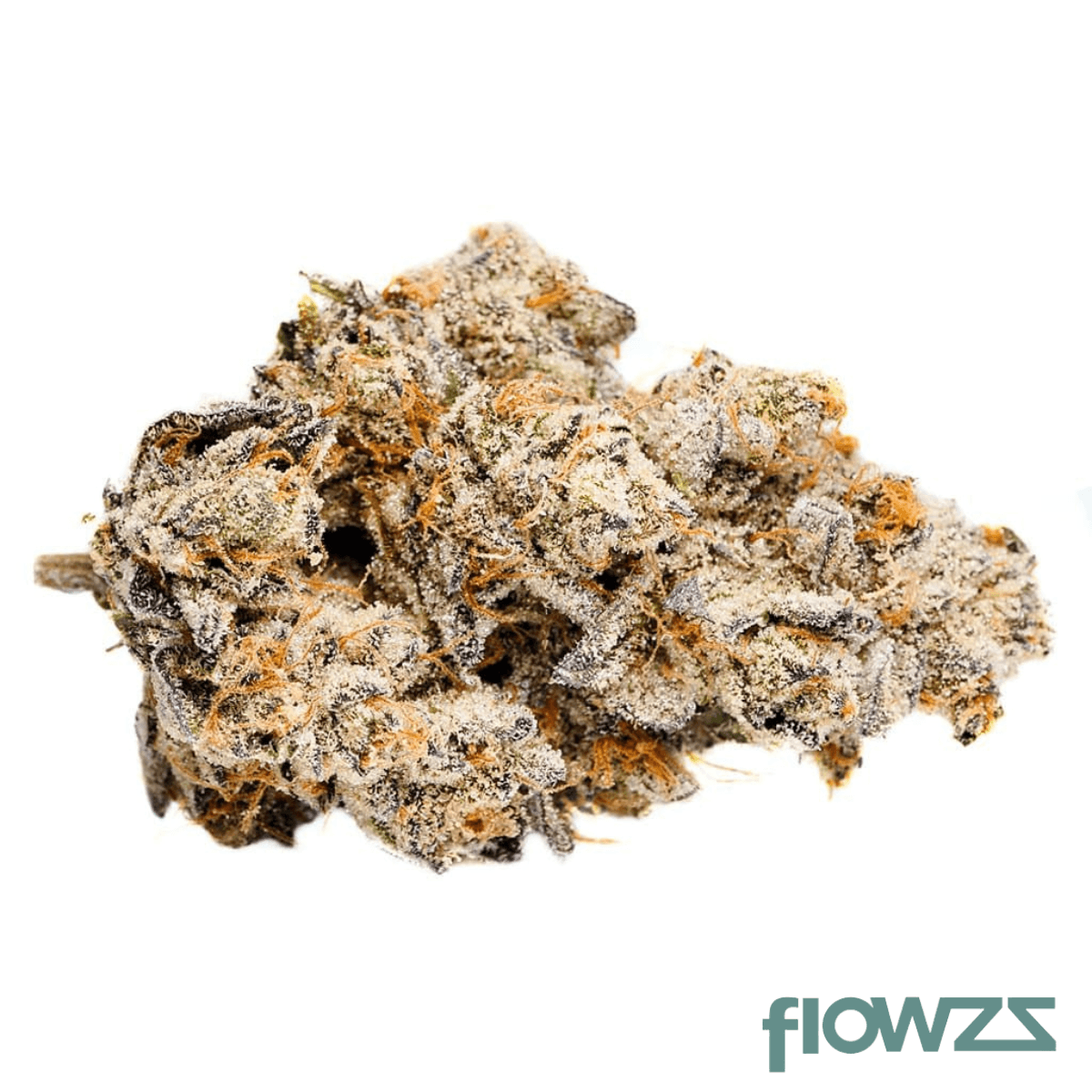 LOT 420 OC Orange Cake Produktfoto