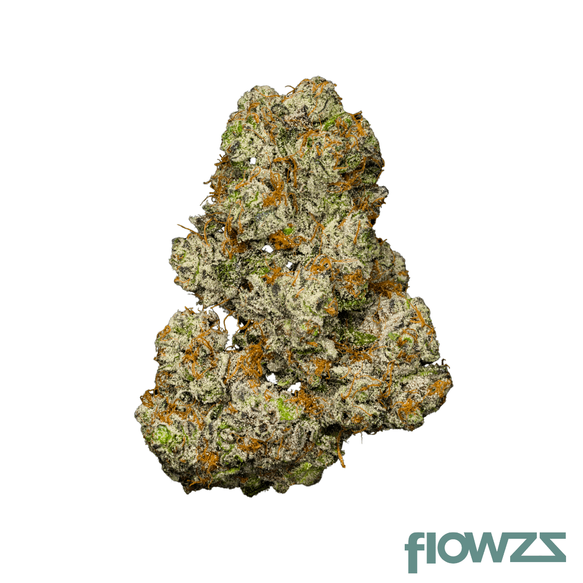PureCan Cooki3 S 25/1 Ginger Cookies zum besten Preis