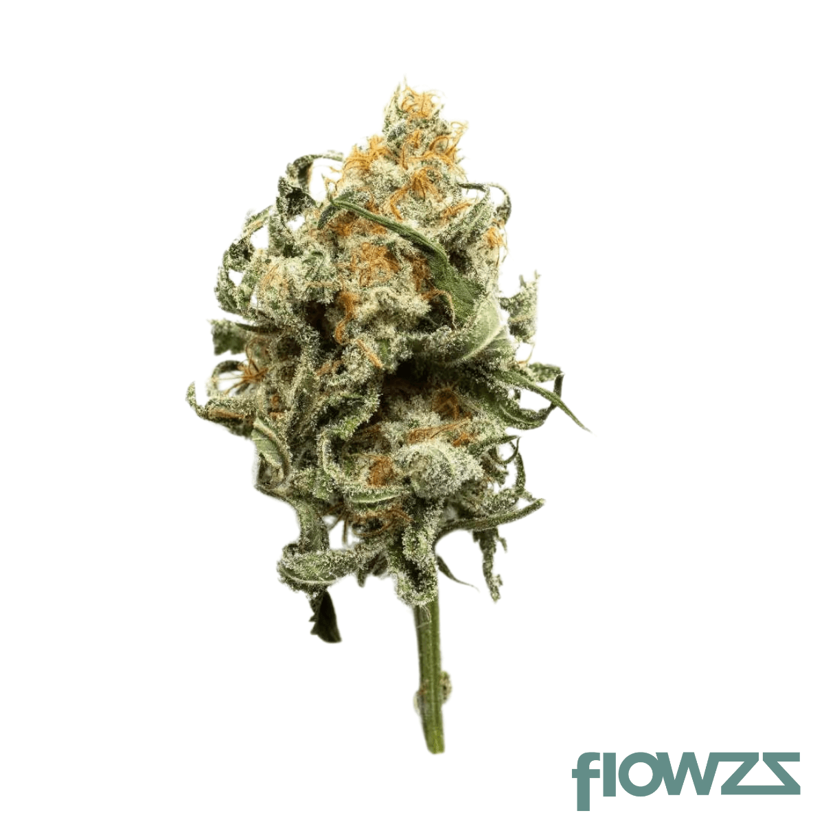 Bedrolite Cannabis Flos 1/9 Produktfoto