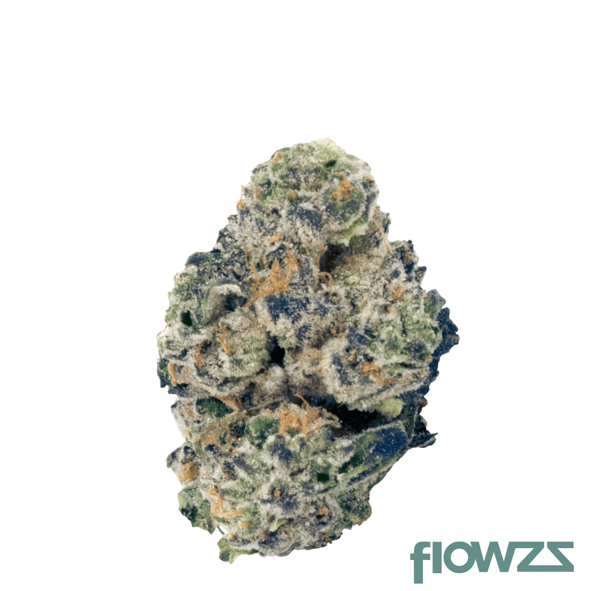 Wellford Peak CA PKM 30/1 Pink Kush Mints Produktfoto