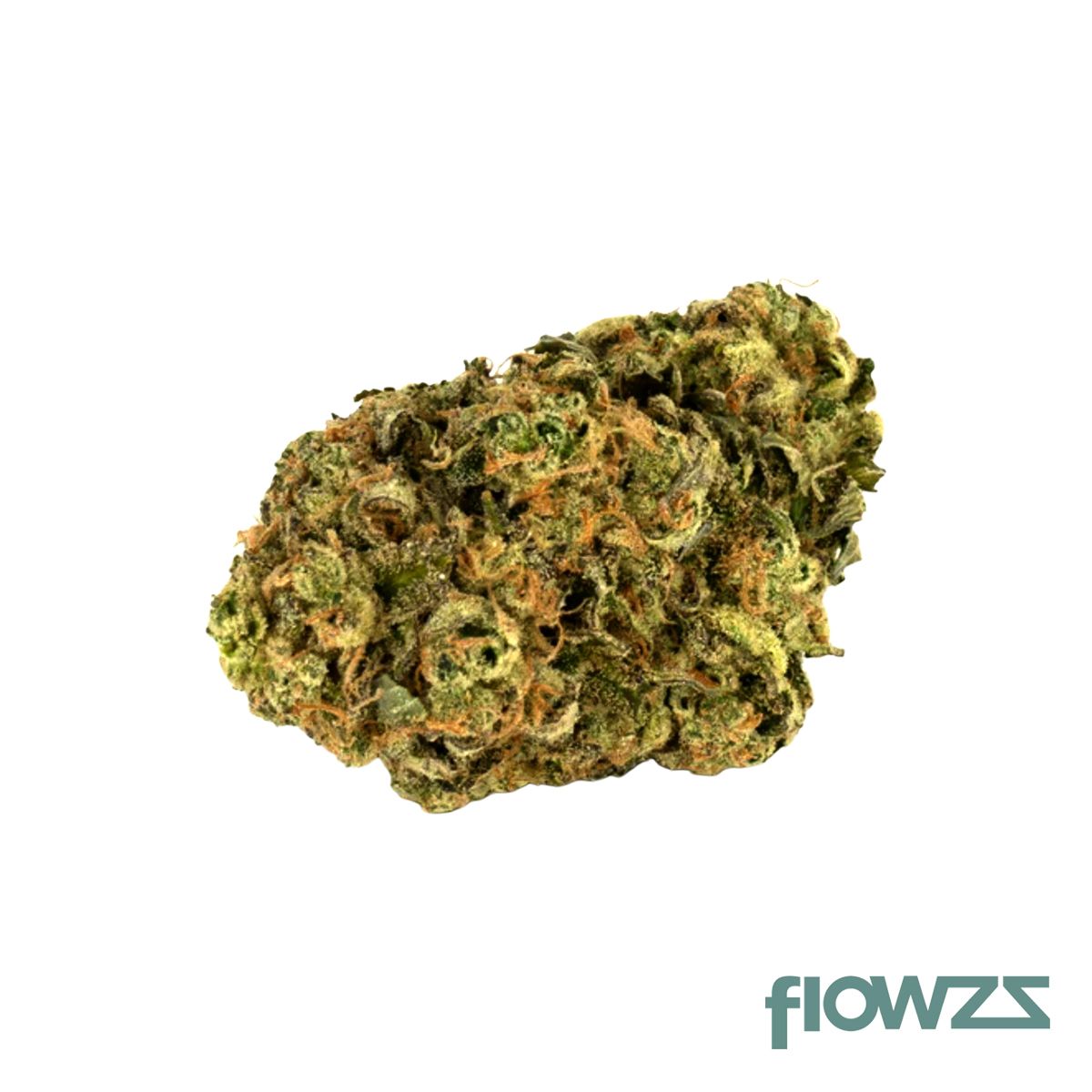 Canopy Krypton 23/1 Produktfoto