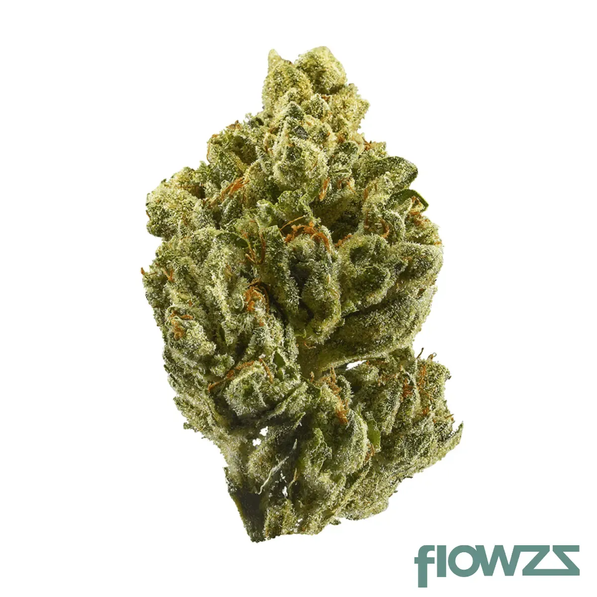 Cannamedical CM 20/1 OG Kush Produktfoto