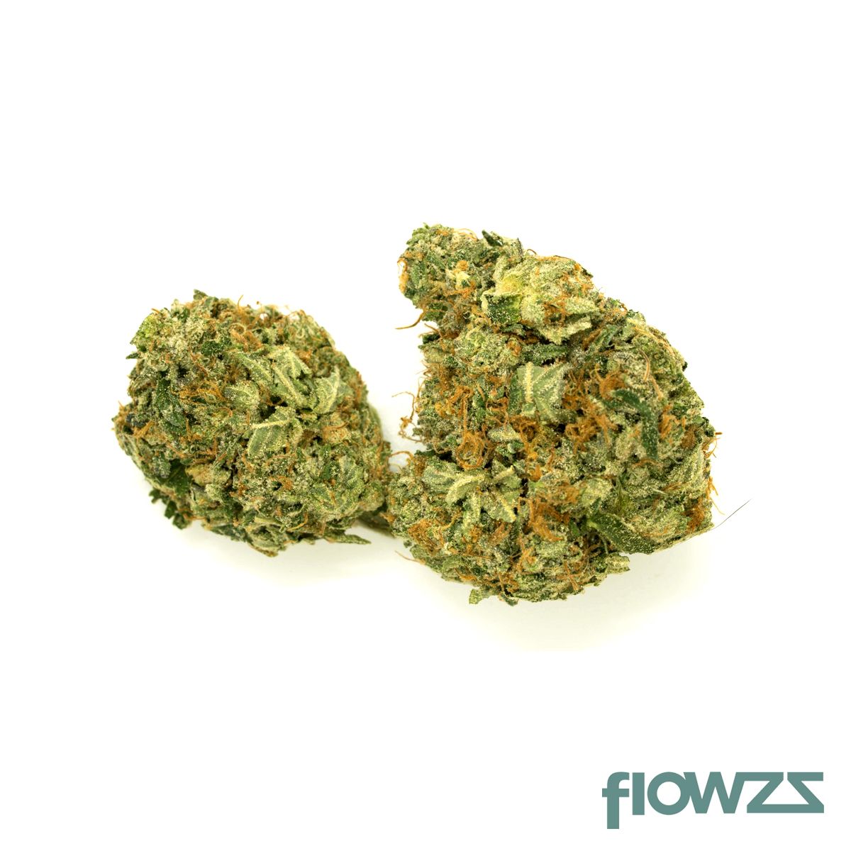 IMC THC22 T01 Hindu Kush product photo