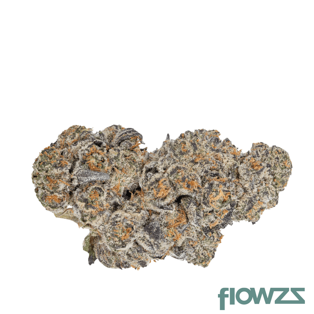 Tilray THC22 Spotlight Porto King Sherb product photo