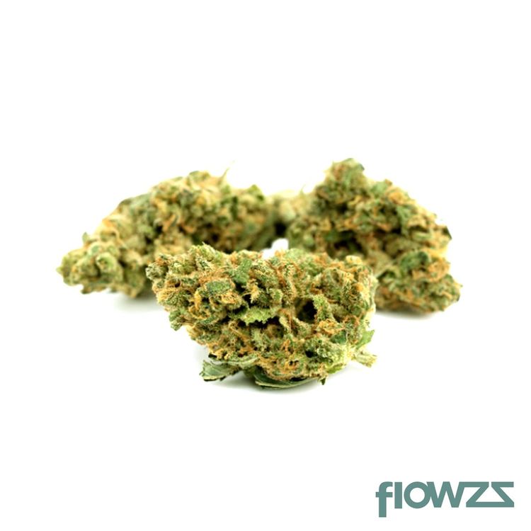 Remexian 20/1 White Widow zum besten Preis