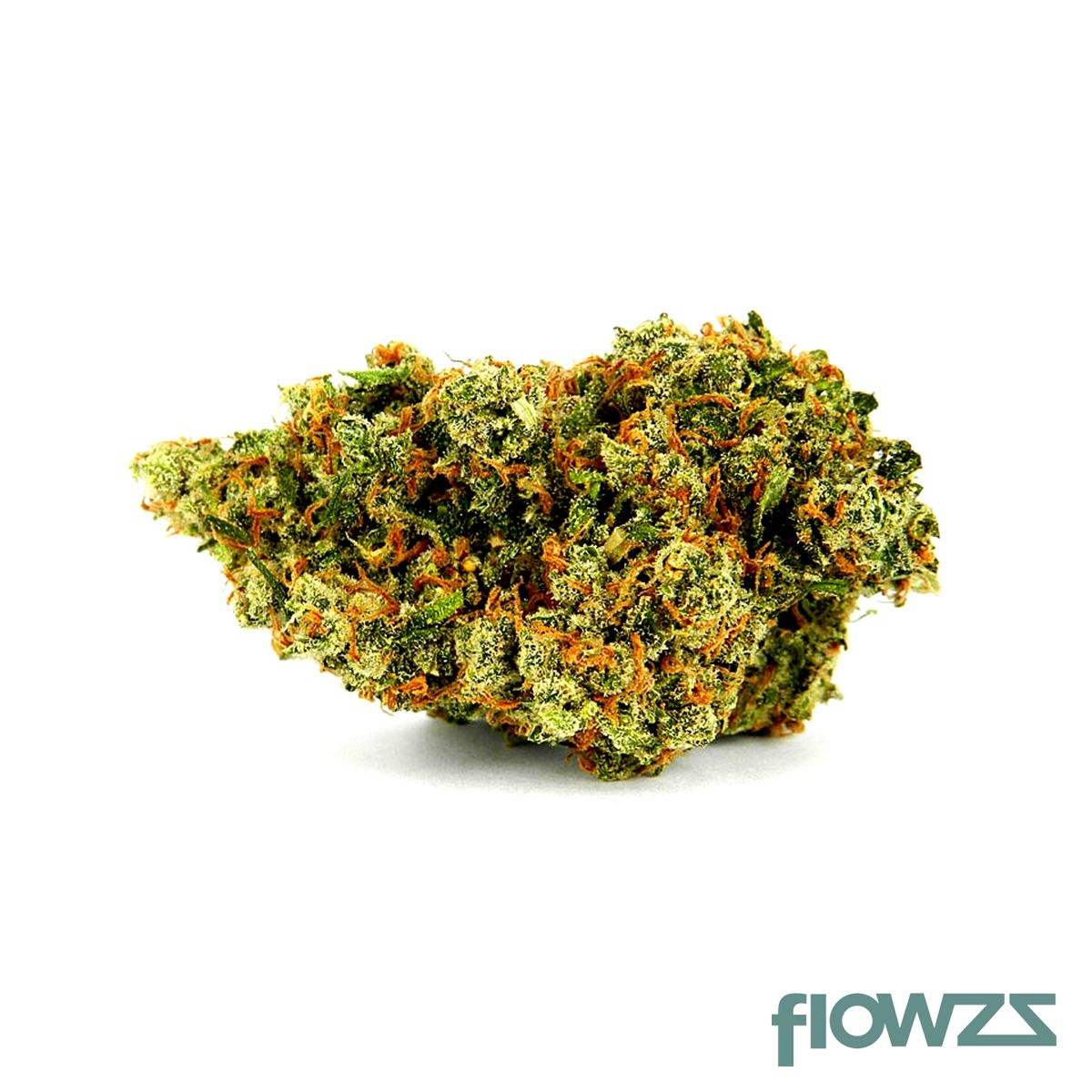 Tilray THC 18 Spotlight Porto Mango Produktfoto
