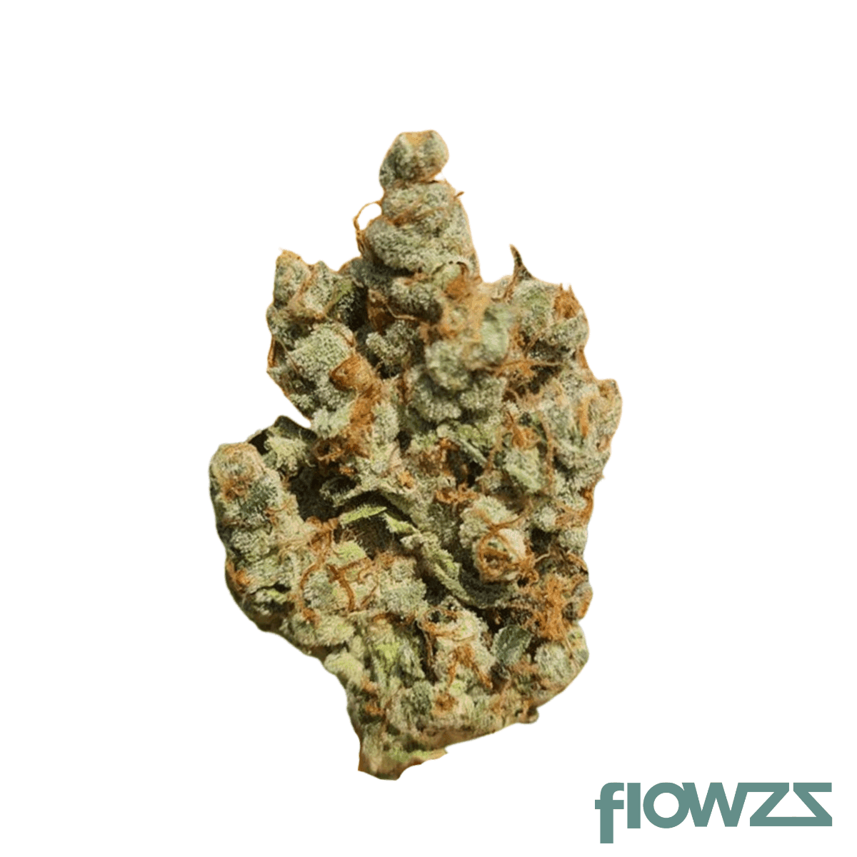 Cannamedical Sativa classic VenomZ Eve product photo