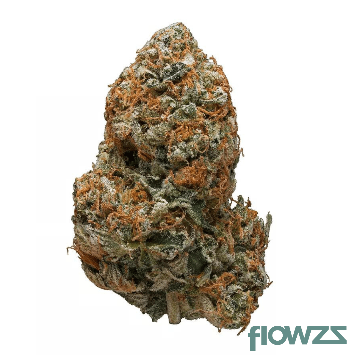 Tilray THC15 Spotlight Porto Black Tuna Produktfoto