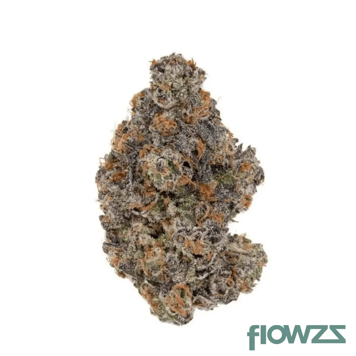 Remexian 25/1 GFR Godfather OG x Schroll Medical Produktfoto