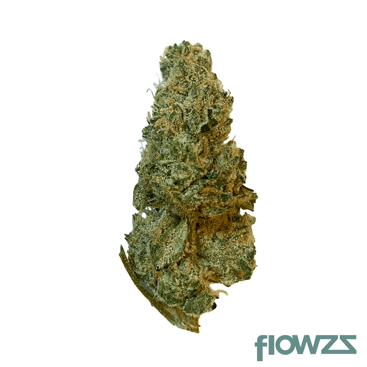 Medicus 27/1 EZA GMO Produktfoto