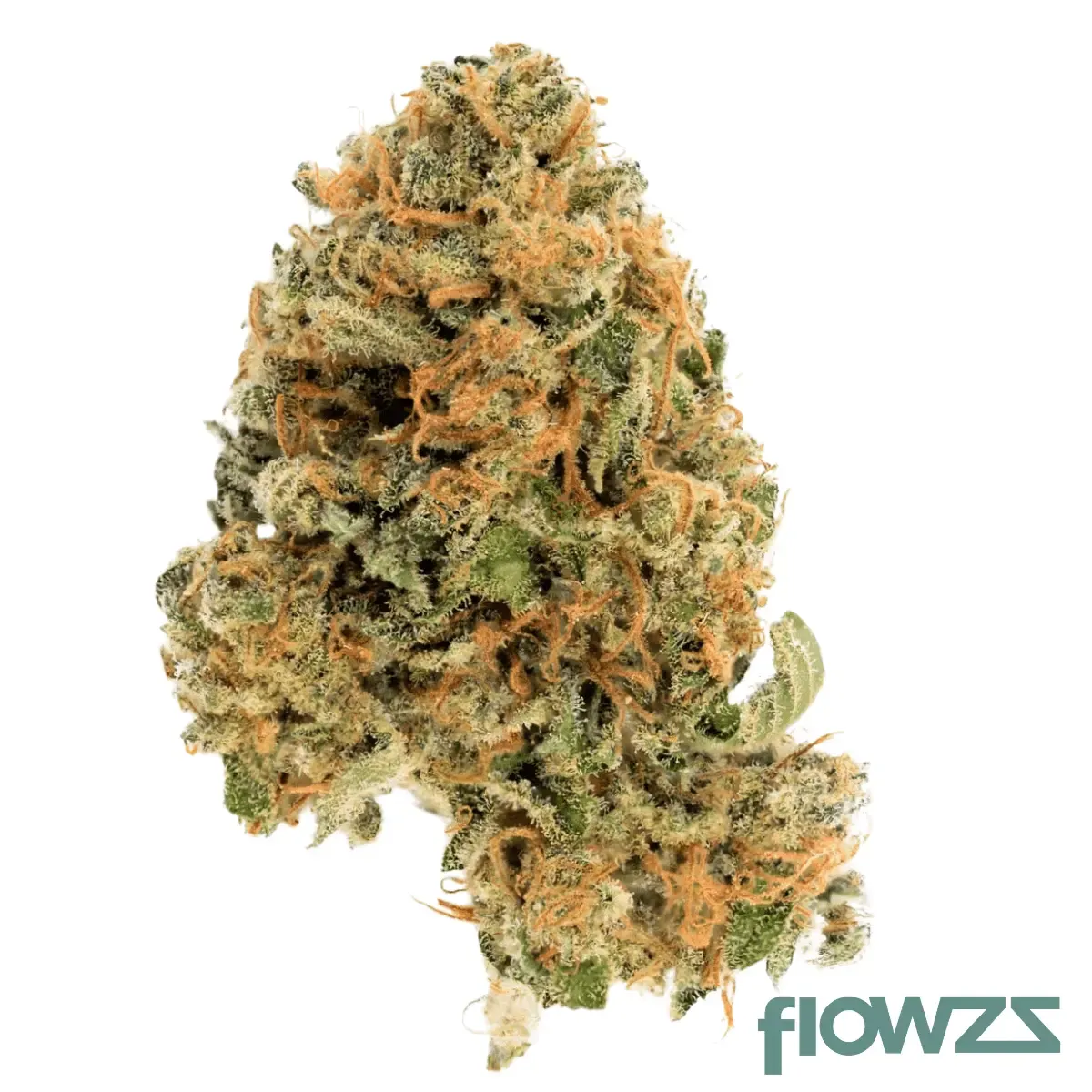 Cannamedical Hybrid Forte DK 22/1 Ghost Train Haze Produktfoto