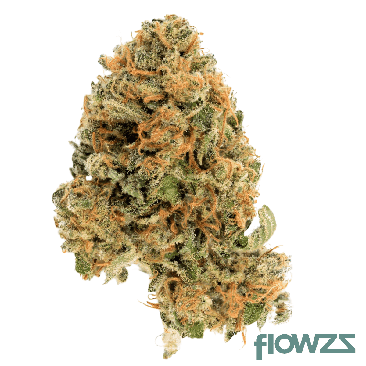 Cannamedical Hybrid Ultra DK Ghost Train Haze Produktfoto