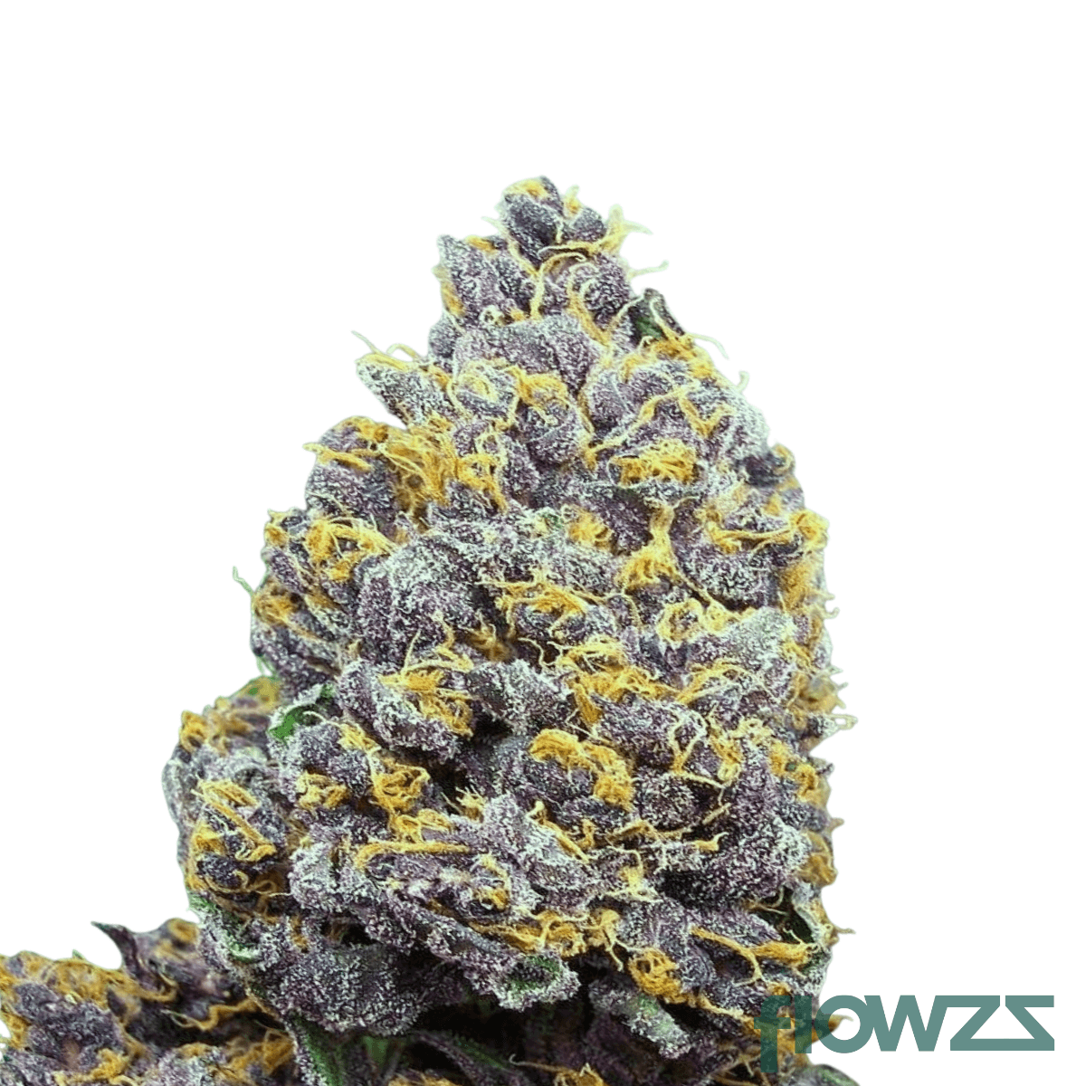 GG4 x Blueberry » Wirkung, Strain Reviews & Preise | flowzz
