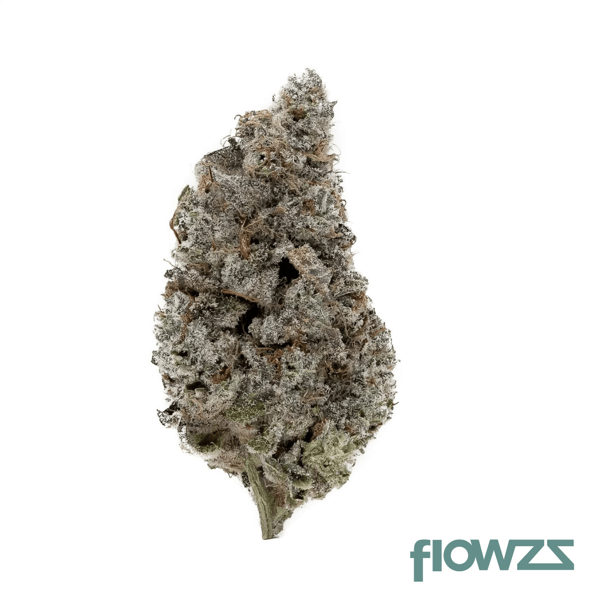 Cannamedical Indica Forte NM Sugarbomb Punch Produktfoto