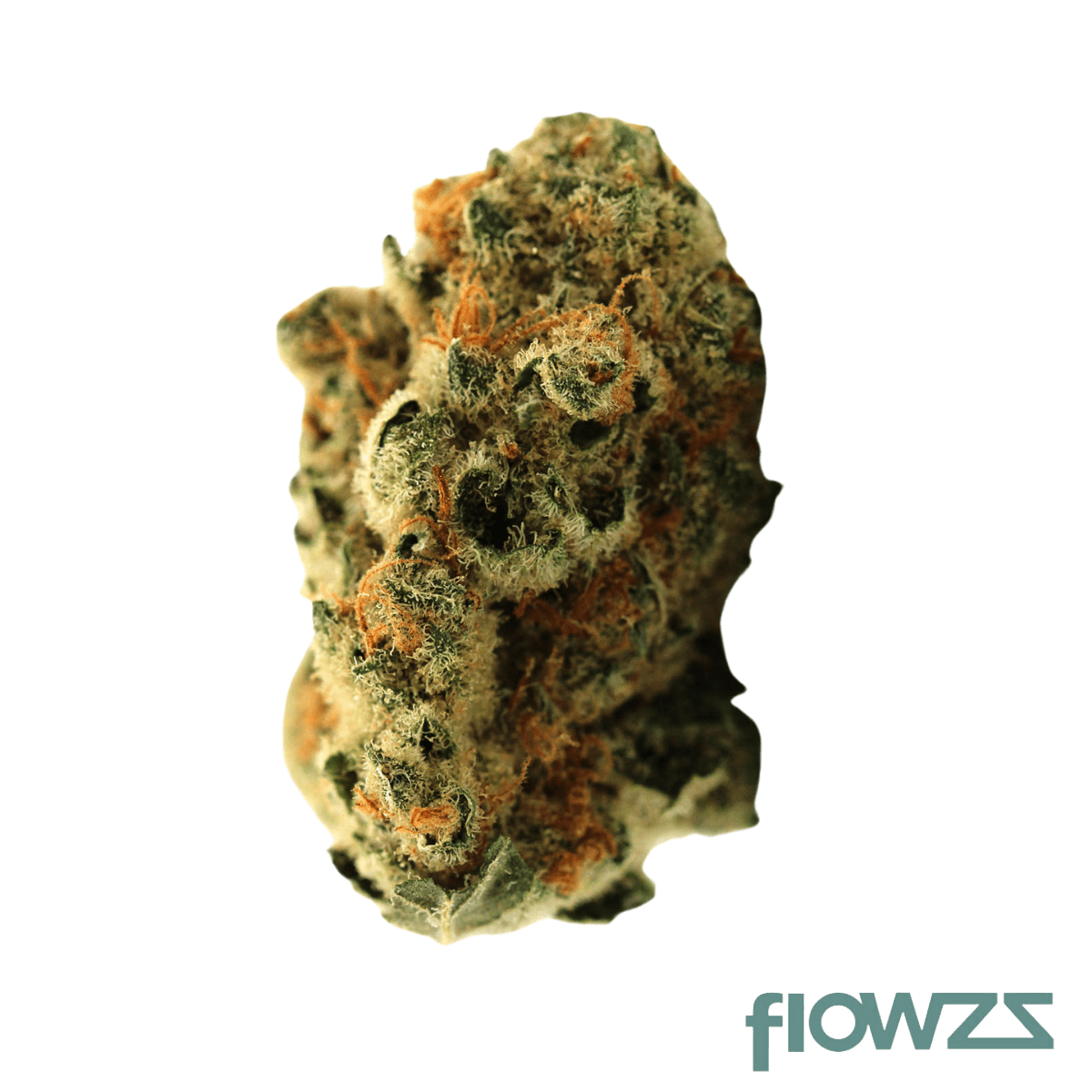 Demecan 24:1 Florestura Super Haze x Amnesia zum besten Preis