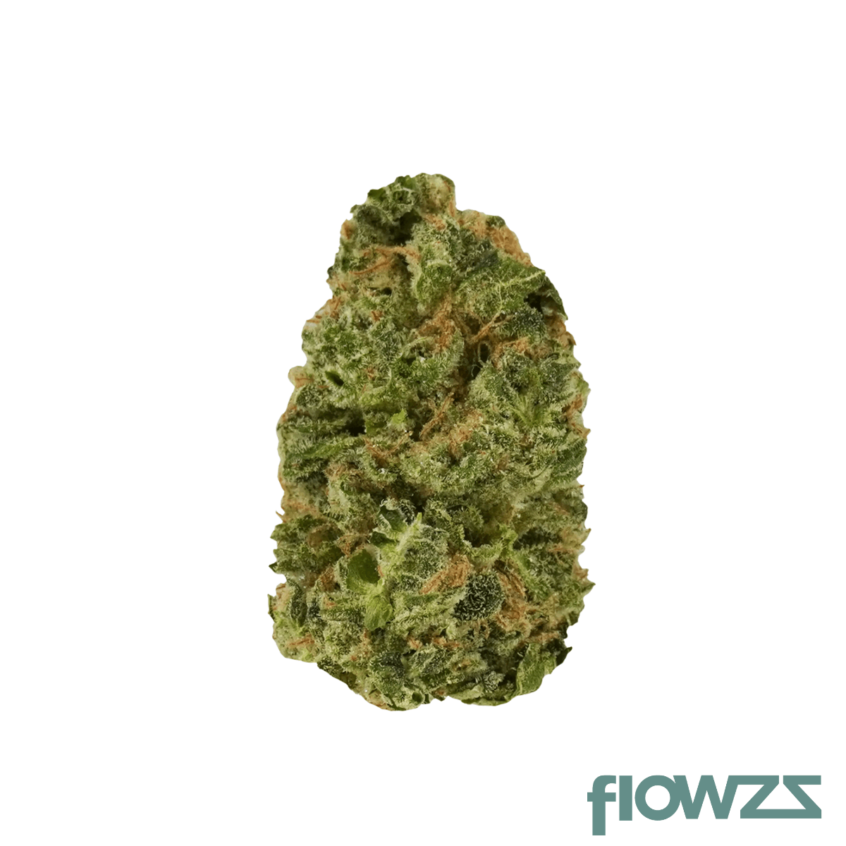 Medicus 27/1 EZA DSD Do-Si-Dos Produktfoto