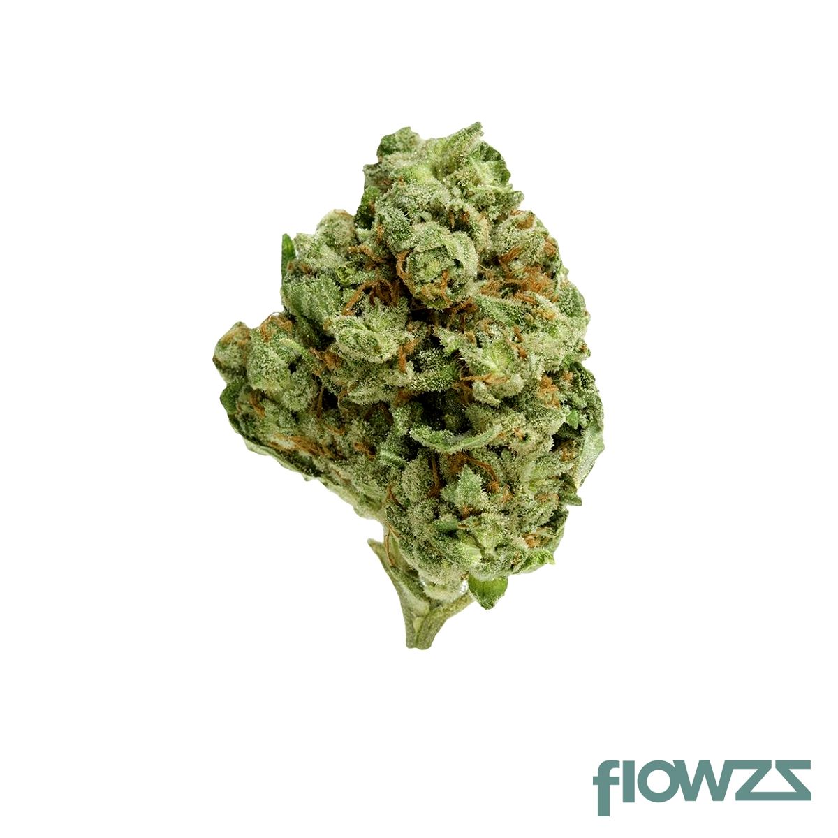 Cannamedical Sativa light Ghost Train Haze Produktfoto