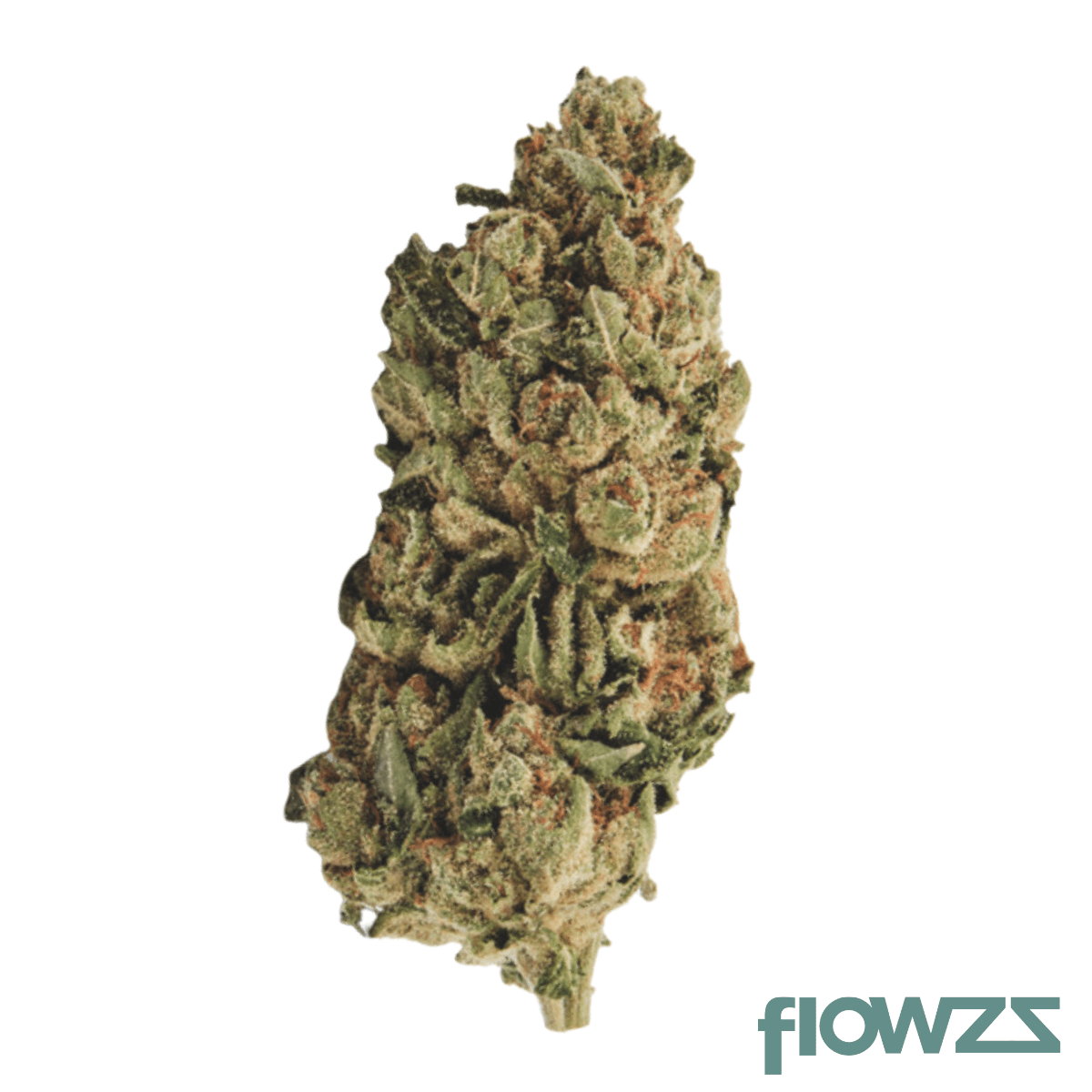 420 Sungrown 22/1 CA LLY Legendary Larry Produktfoto