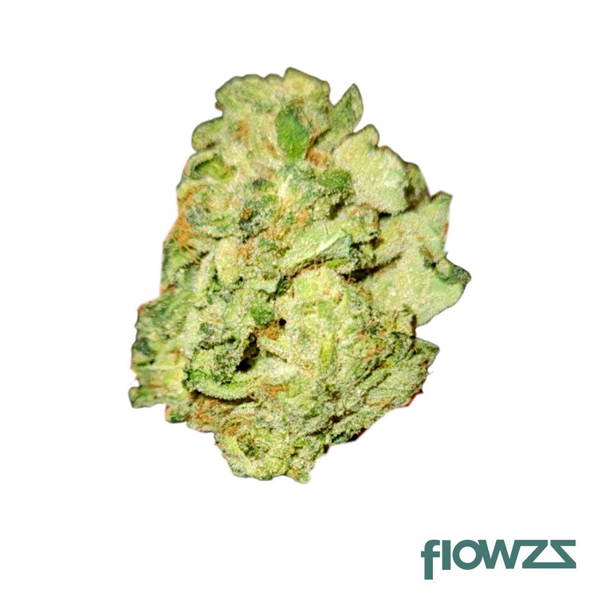 Tilray THC 18 Spotlight Porto Galaxy Walker OG Produktfoto