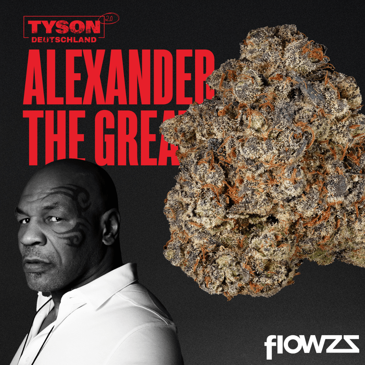 TYSON 2.0 30/1 Alexander The Great Produktfoto