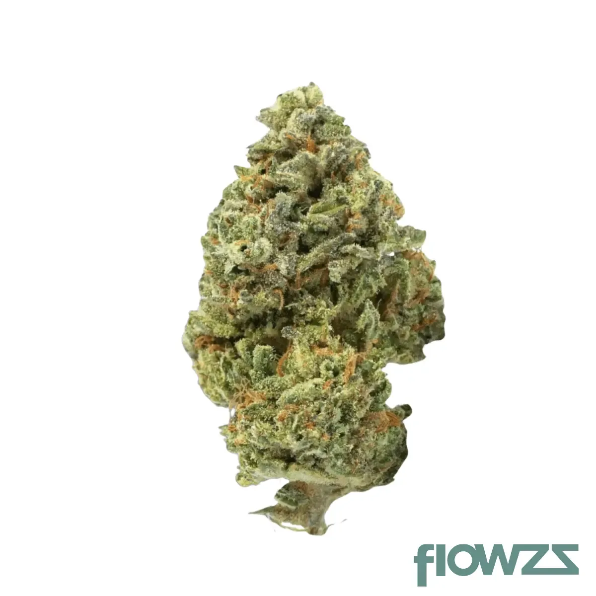 420 Evolution 20/1 CA LCG Lemon Cherry Gelato zum besten Preis