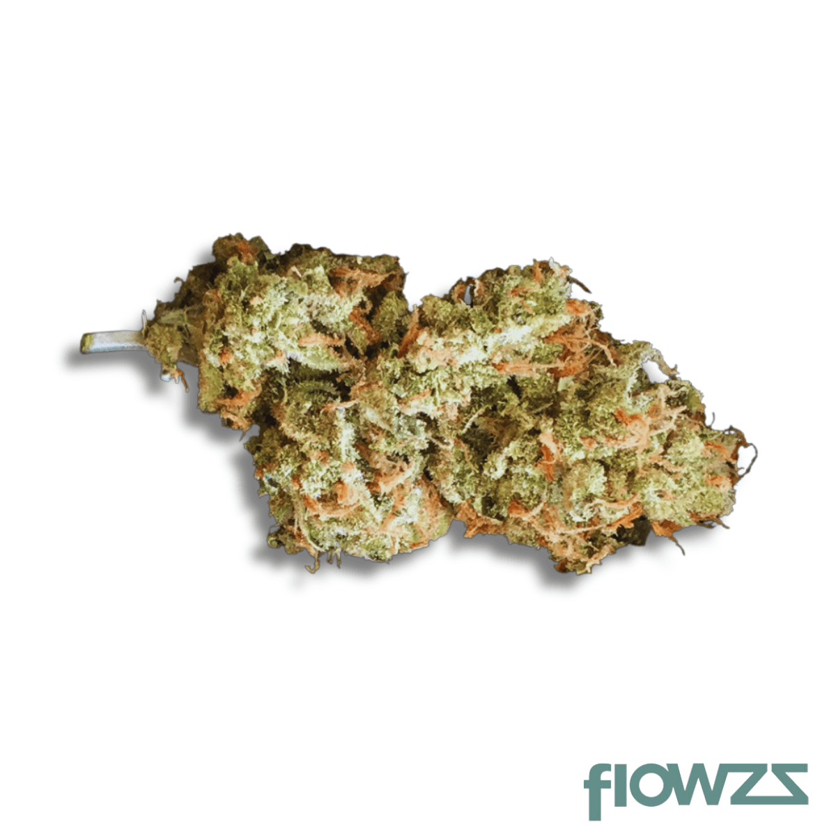 101-C Blüten Sativa LSAGE 22/1 Produktfoto