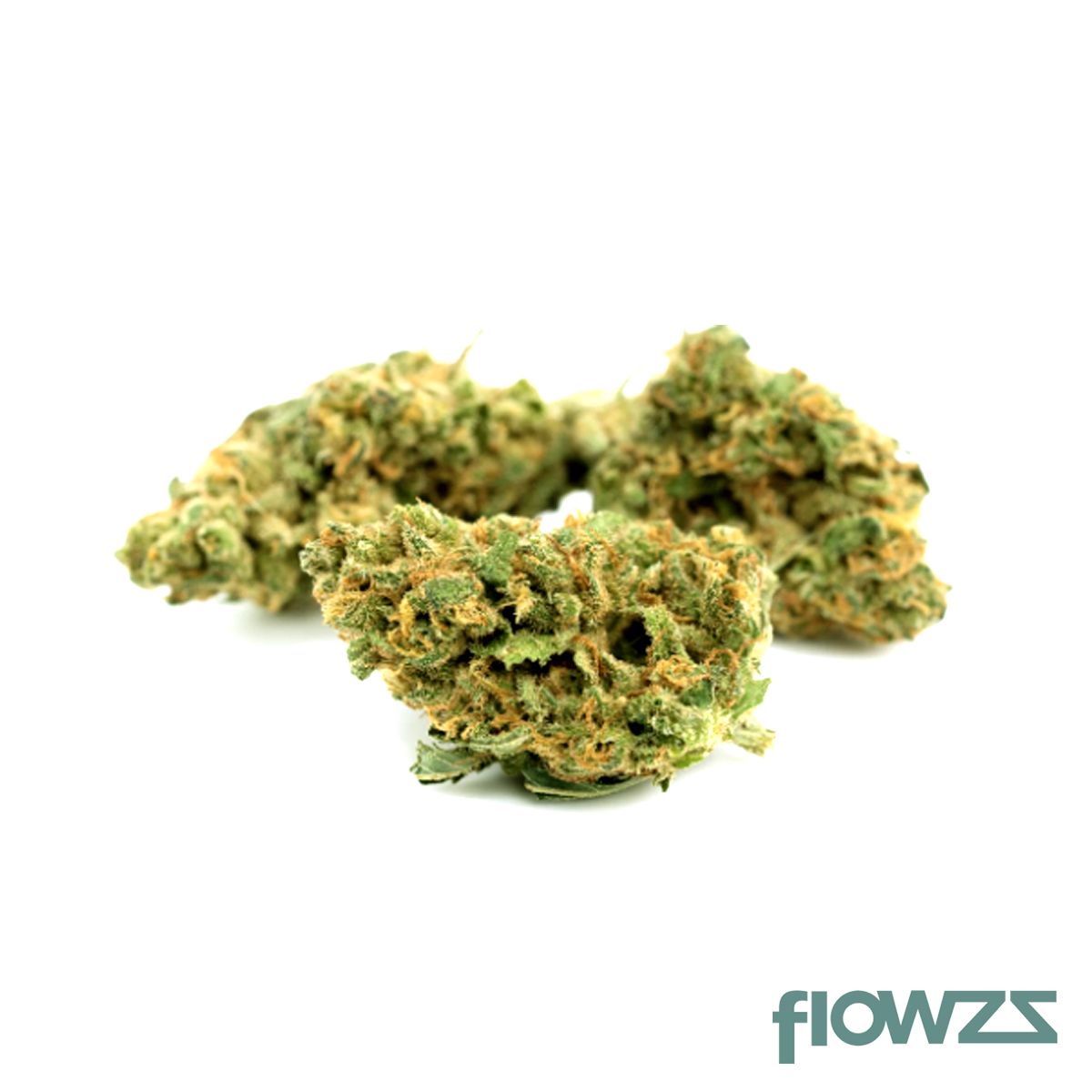 Remexian 16/1 White Widow Produktfoto