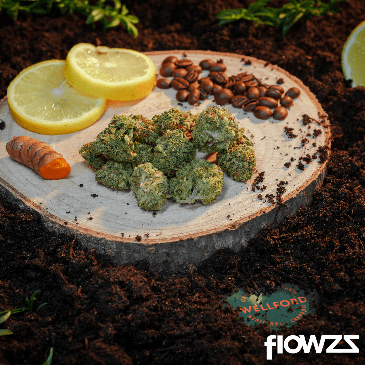 Wellford Aquaponic 30/1 ATG Atlantic Glue Produktfoto
