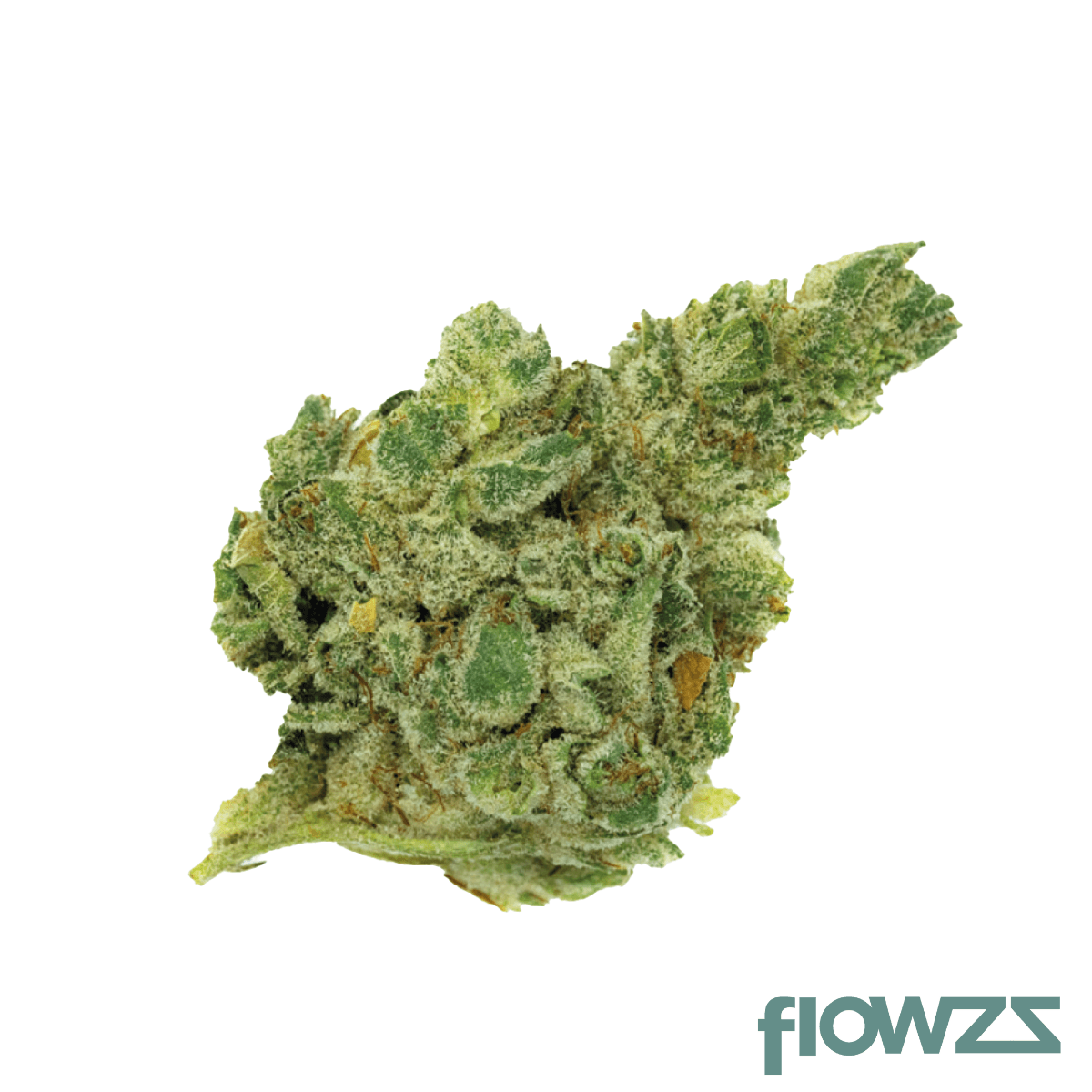 420 Natural 22/1 CA GG4 Gorilla Glue zum besten Preis