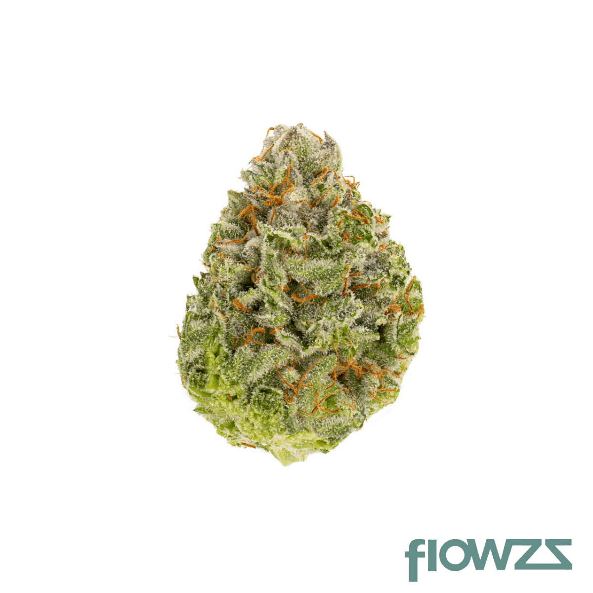 Therismos 24/1 SDK Sensi Double Kush Produktfoto