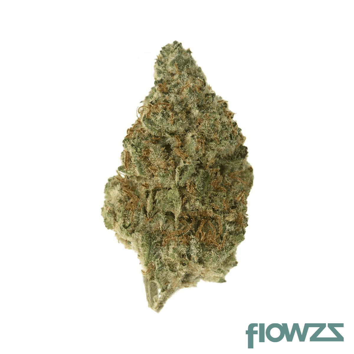 Remexian 27/1 FCO Frosted Cookies Produktfoto