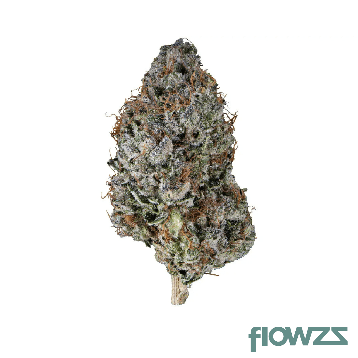 Tilray THC22 Sportlight Porto Beach Crasher Produktfoto
