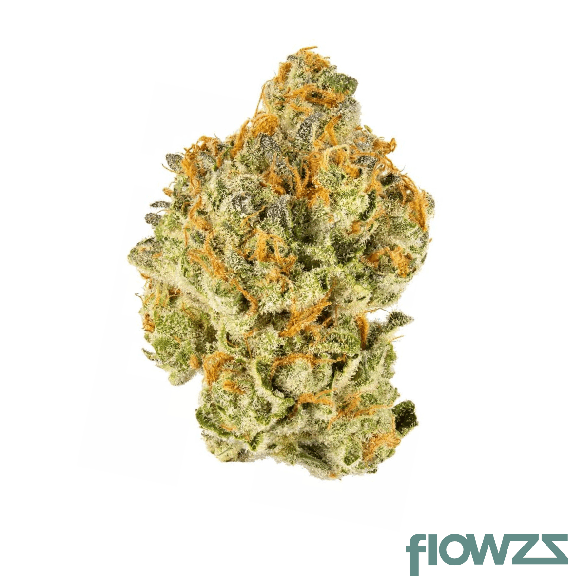 Canify Cannabis flos 20/1 CO Ku. MAC Produktfoto