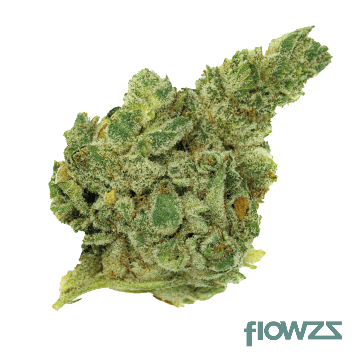 420 Natural 25/1 CA GG4 Gorilla Glue zum besten Preis