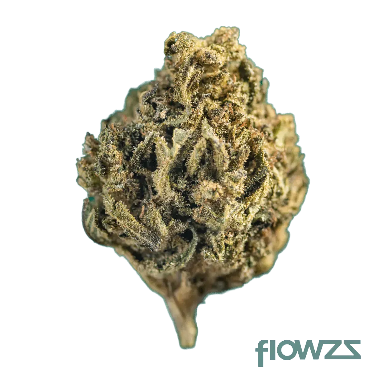 Canify Cannabis Flos 10/14 Midnight product photo