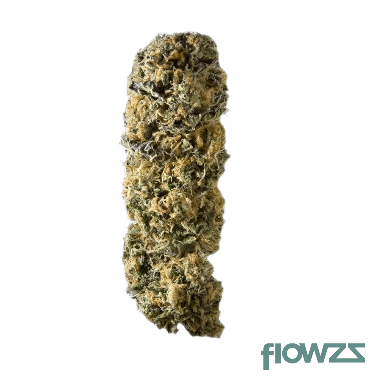 CannabiStada 20/1 SEN Sensistar product photo