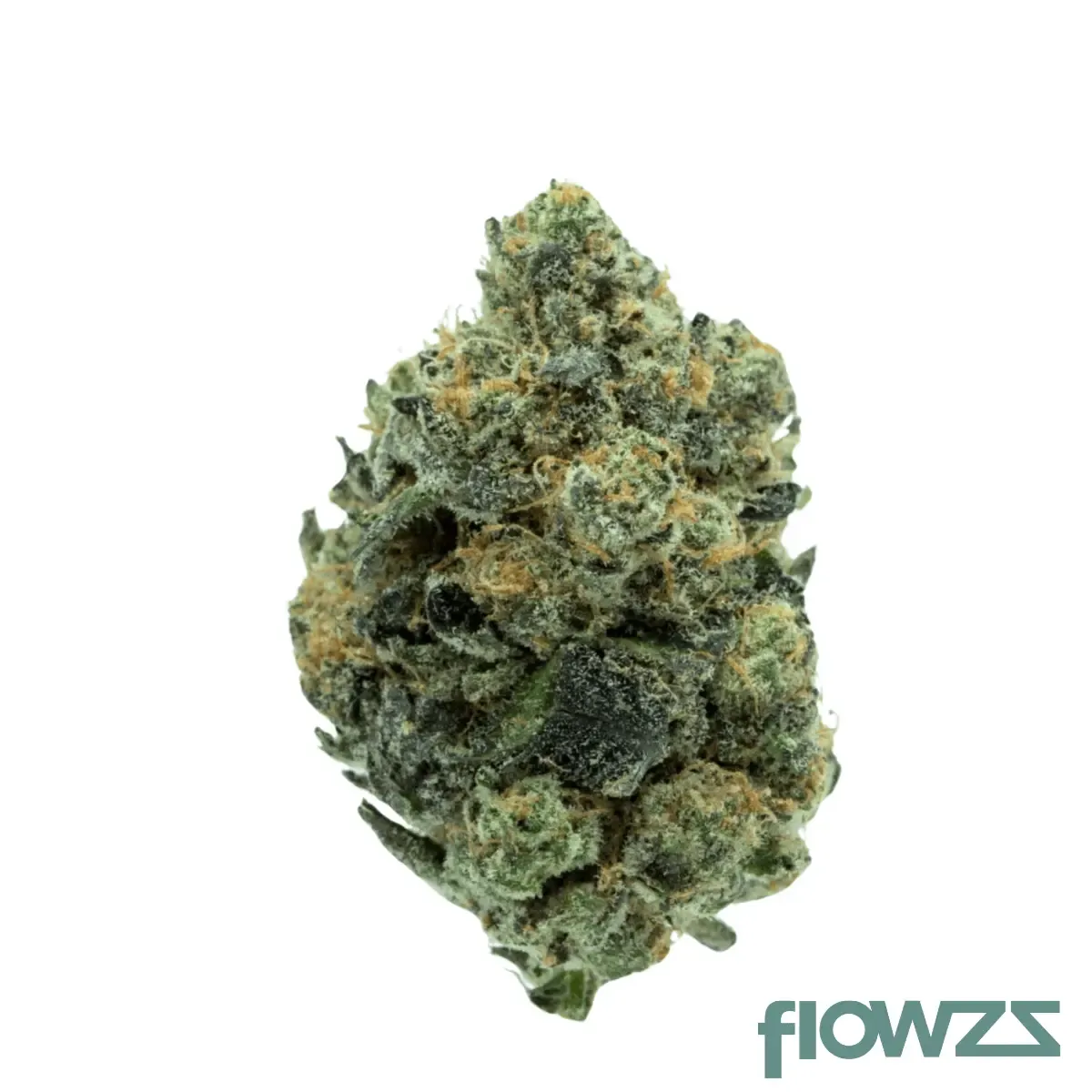 TRUU GT 27:01 Cookies OG Produktfoto