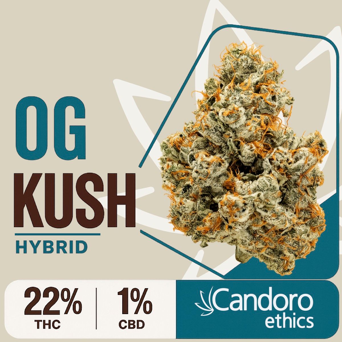 Candoro ethics 22:1 Hybrid OGK OG Kush product photo
