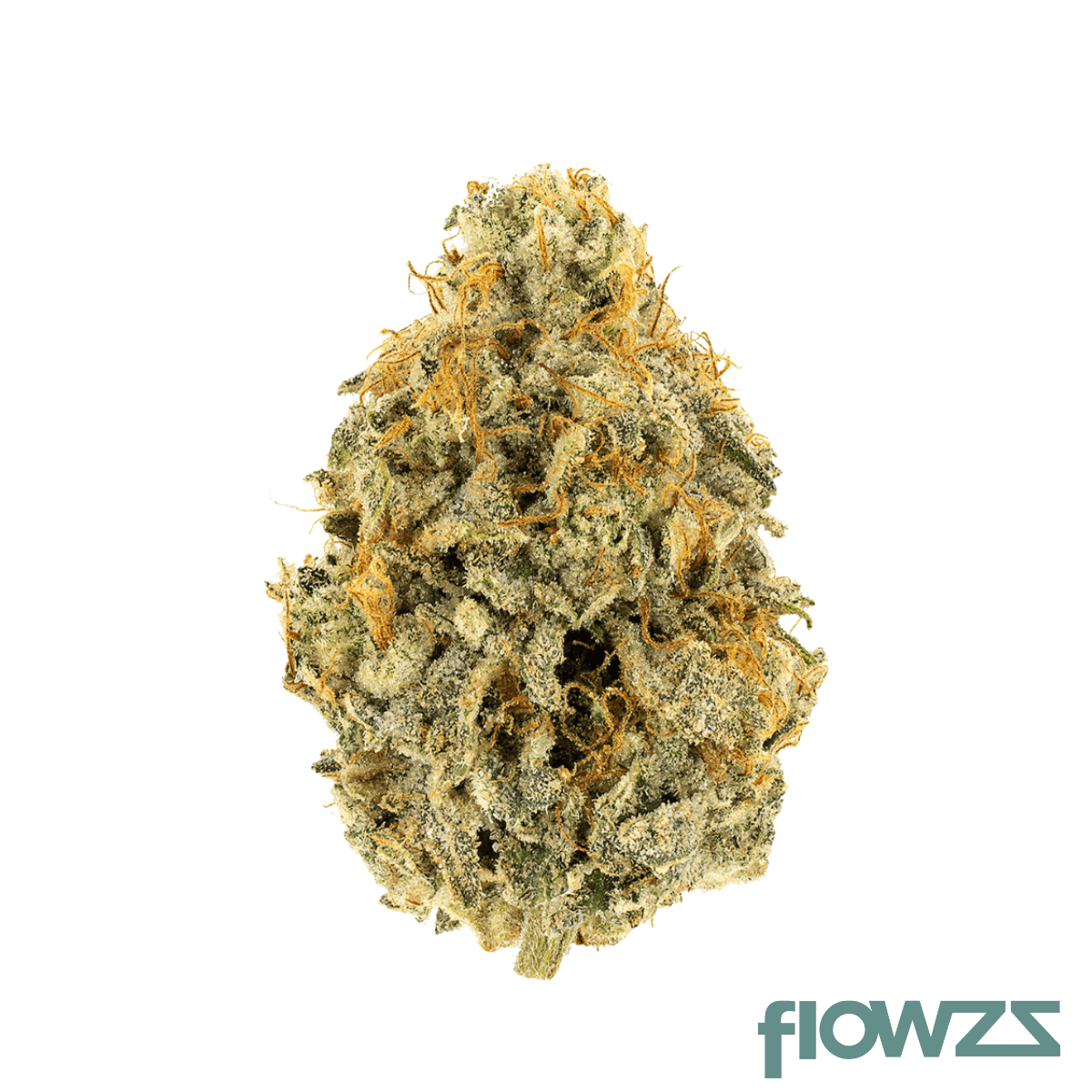 Wellford Aquaponic 28/1 ATG Atlantic Glue product photo