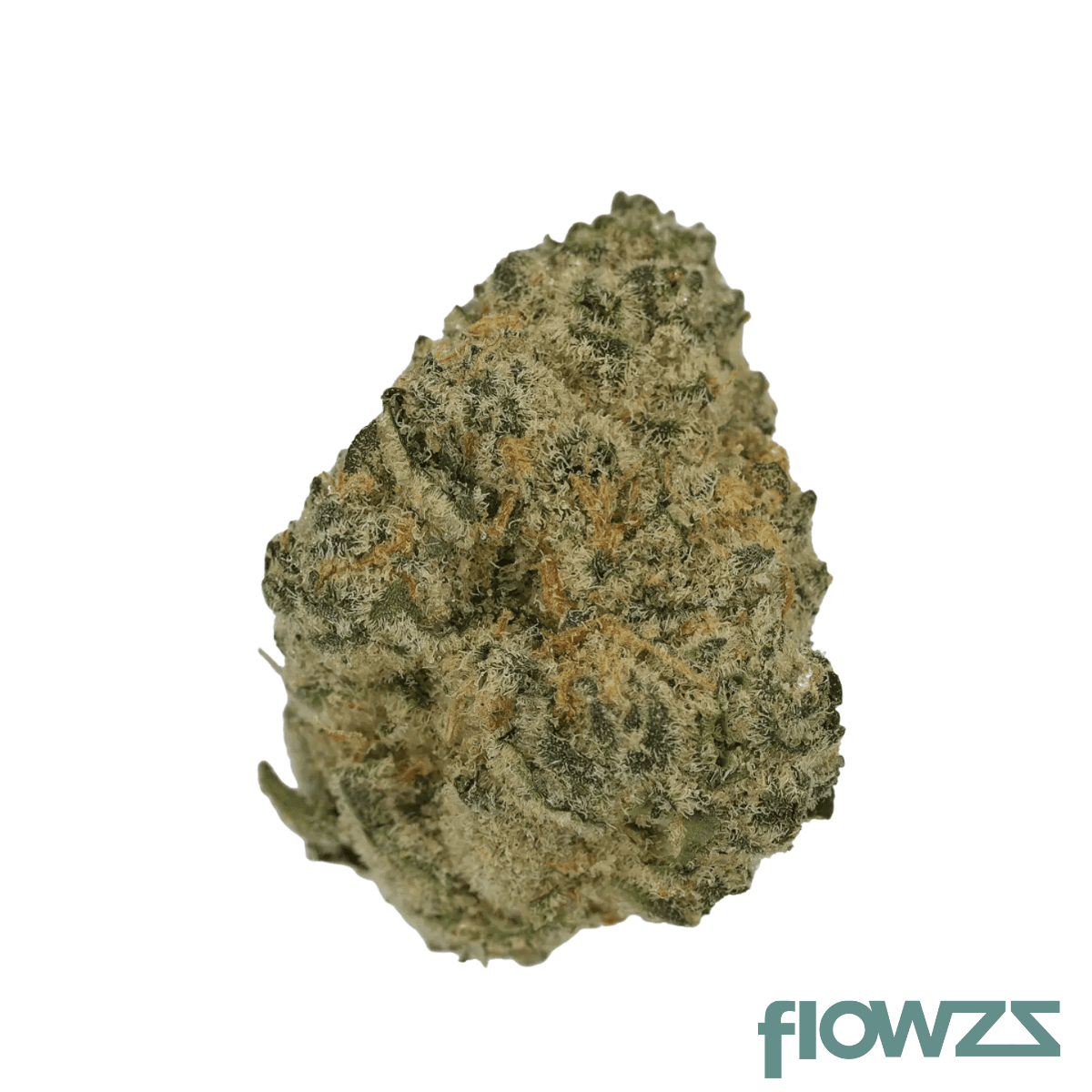 Cannamedical Sativa Ultra 28/1 NM Polar Cookies Produktfoto