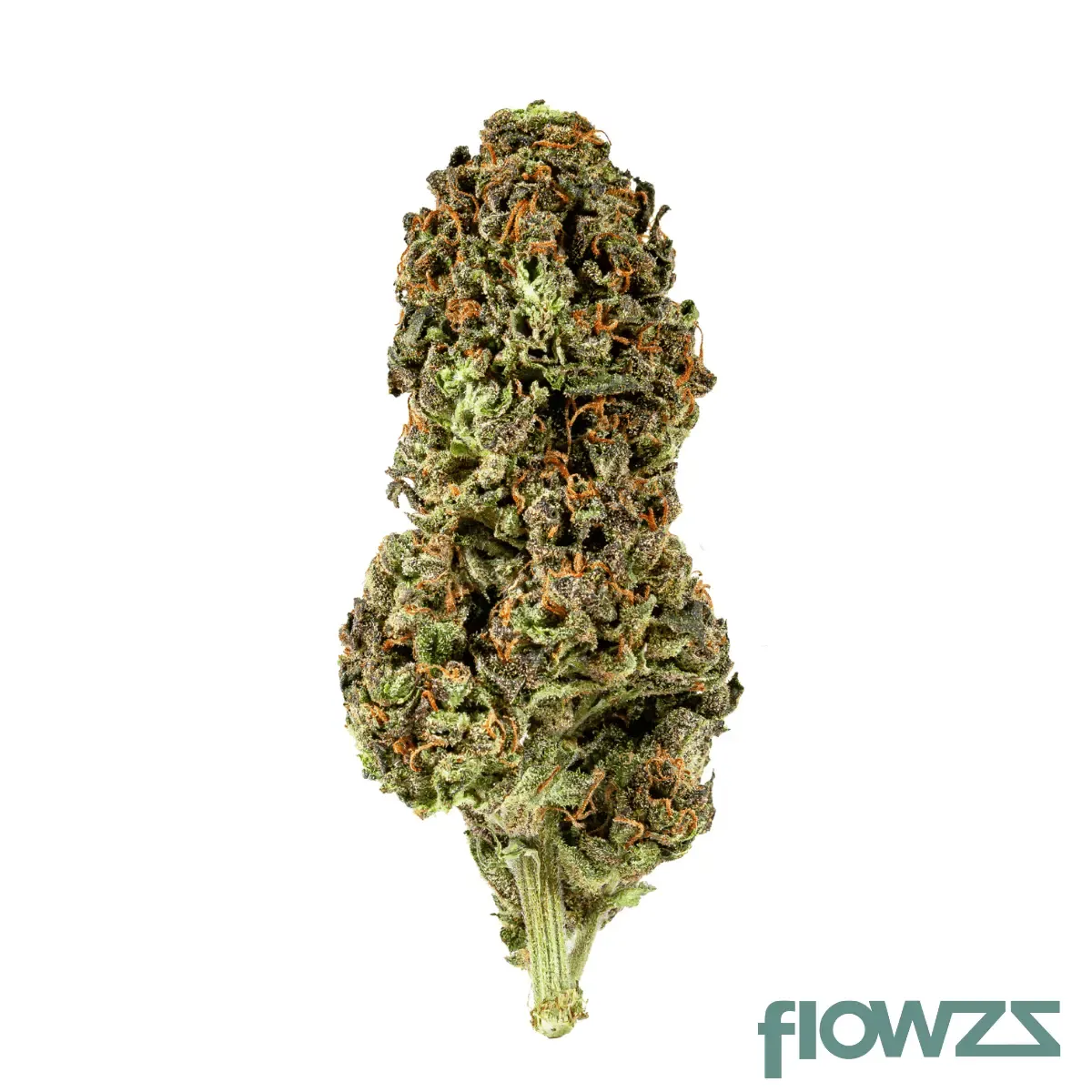 Galaxia Organic Living Soil WRM 15/1 White Runtz x Mintz product photo