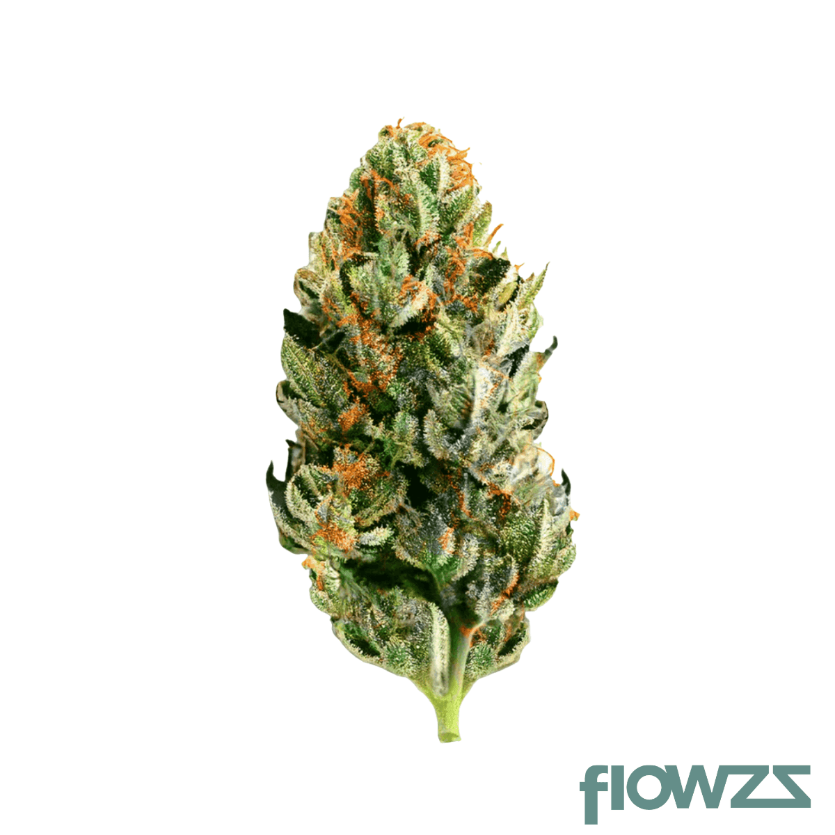 Canify Cannabis flos 25/1 Ku. The Chef Produktfoto