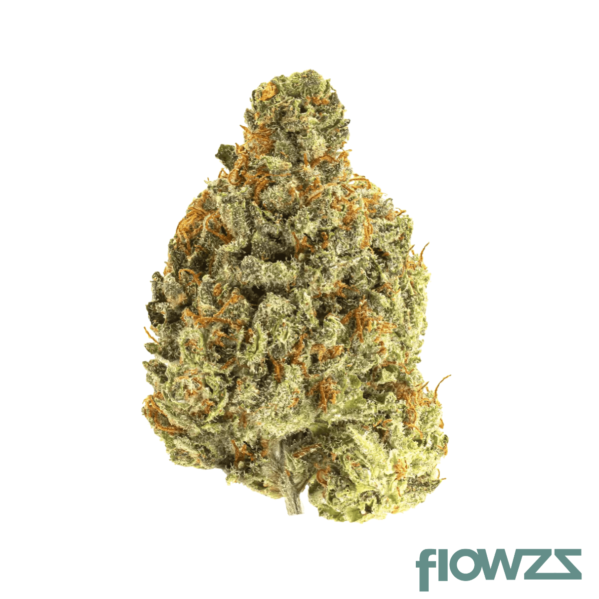 Cannamedical Sativa forte Crescendo Cookies Produktfoto