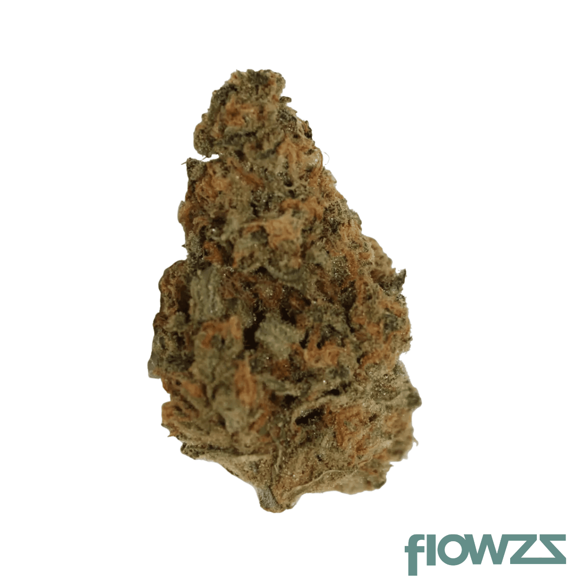 Cannamedical Sativa forte Produktfoto