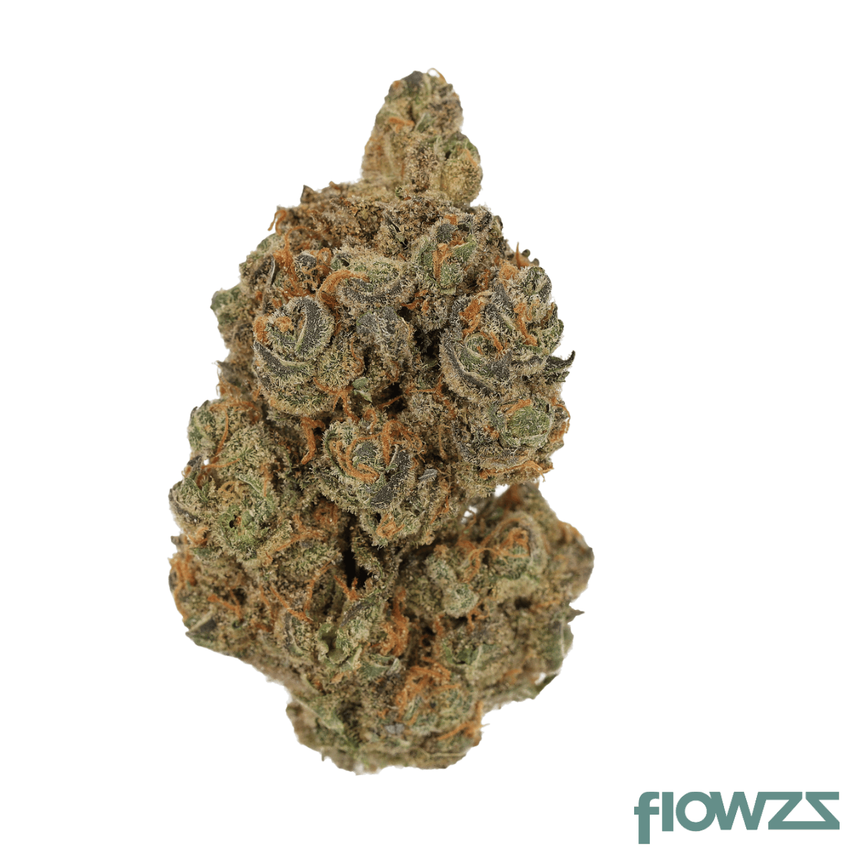 Cannamedical Hybrid Forte 24/1 Garlic Truffle Produktfoto