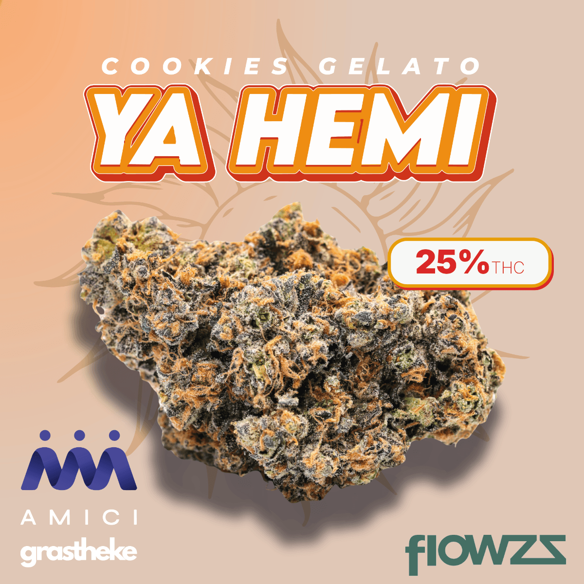 Amici 25/1 YHE Cookies Gelato YaHemi Produktfoto