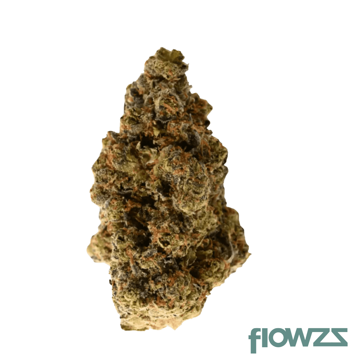 NICE 28/1 GSC Girl Scout Cookies Produktfoto